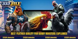 Best Feather Quality For Derby Roosters Explained